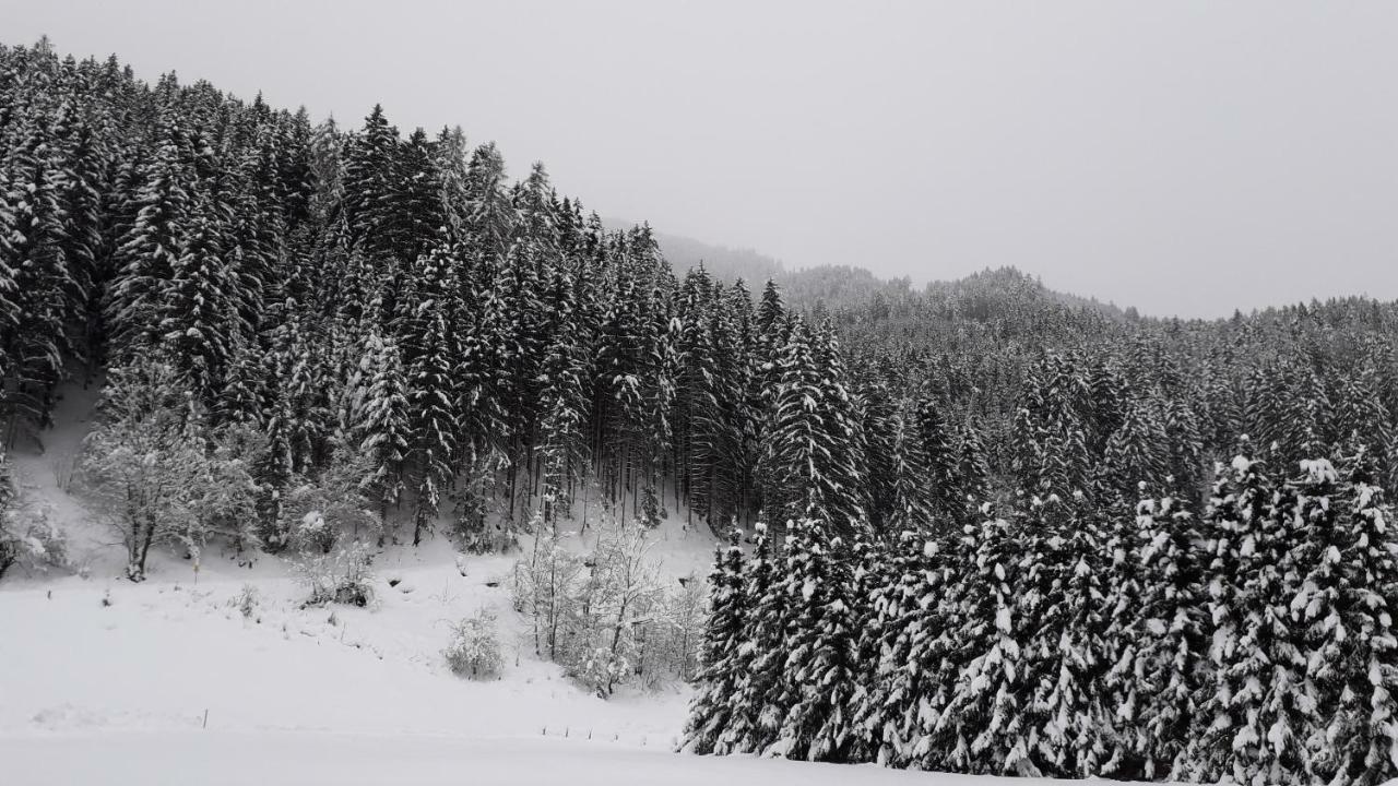 Vila Nieslerhof Mayrhofen Exteriér fotografie