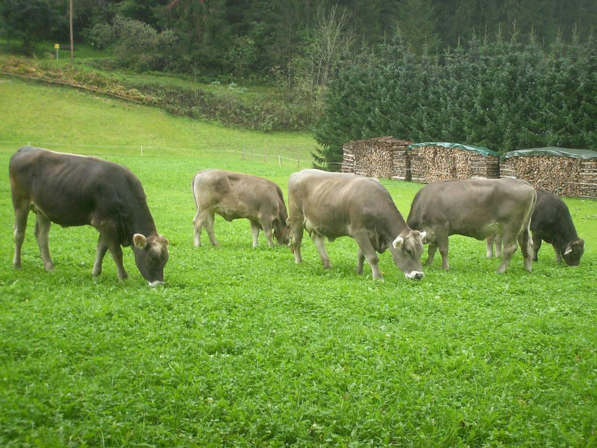 Vila Nieslerhof Mayrhofen Exteriér fotografie