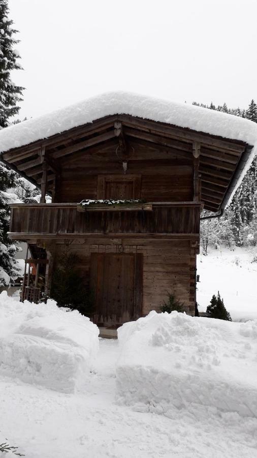 Vila Nieslerhof Mayrhofen Exteriér fotografie